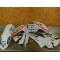 Kit plastique GasGas 125MC 250/450 MCF 2021-2023