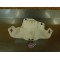 Sabot Honda 250 NX