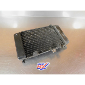 Radiateur gauche Honda 650 Transalp