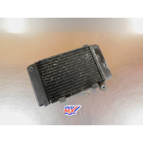 Radiateur gauche Honda 650 Transalp