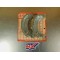 Mâchoires de frein Suzuki TS250X 1984-1989 64410-01A20
