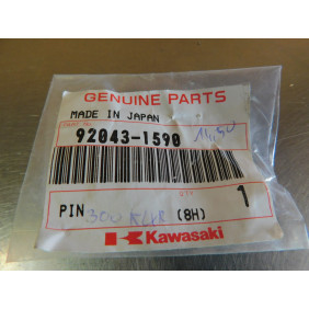 Axe de vérrouillage d'axe de roue arrière 6x45 Kawasaki KLX 250 1999,2006,2007/ KLX 300 1996-2007 92043-1590