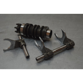 Système de sélection(barillet+fourchettes) GasGas 250/300 EC