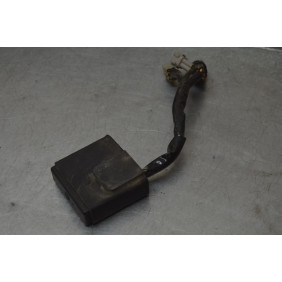 Boitier CDI YAMAHA 426 YZF/WRF