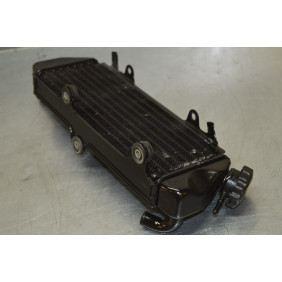 Radiateur SUZUKI 125 TSR