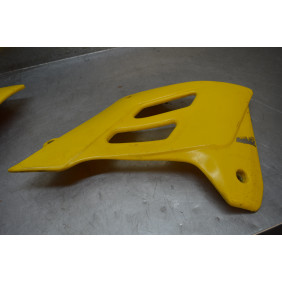 Ouies de radiateur GAS GAS 125/200/250/300 EC