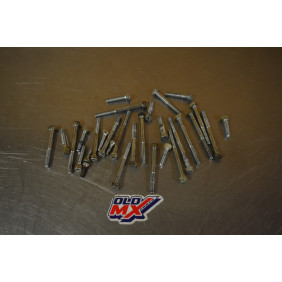 Lot visserie bas moteur GASGAS 250/300 EC 1999/2000