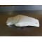 Garde boue arrière HONDA 125/250/500 1990-2001