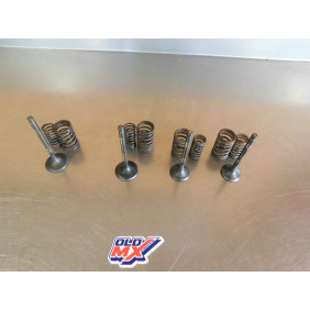 Soupapes + ressorts YAMAHA 600 XT
