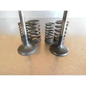 Soupapes + ressorts YAMAHA 600 XT