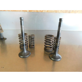 Soupapes + ressorts YAMAHA 600 XT