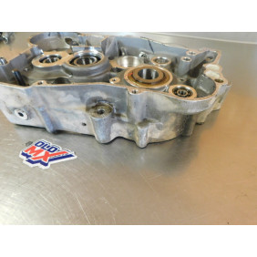 Carters moteur GASGAS 250/300 EC 2001
