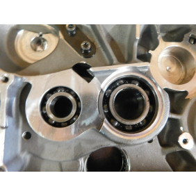 Carters moteur GASGAS 250/300 EC 2001
