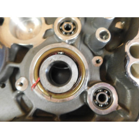 Carters moteur GASGAS 250/300 EC 2001