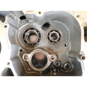 Carters moteur GASGAS 250/300 EC 2001