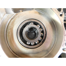 Carters moteur GASGAS 250/300 EC 2001