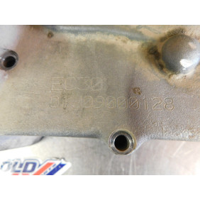 Carters moteur GASGAS 250/300 EC 2001