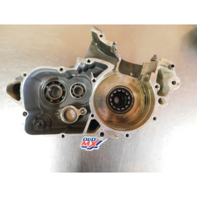 Carters moteur GASGAS 250/300 EC 2001