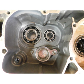Carters moteur GASGAS 250/300 EC 2001