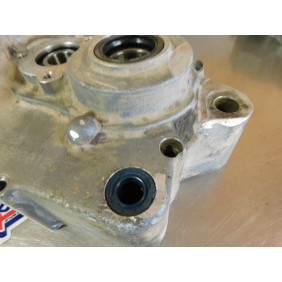Carters moteur GASGAS 250/300 EC 2001