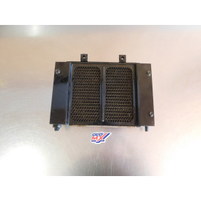 Radiateur MASAI A300