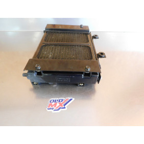 Radiateur MASAI A300