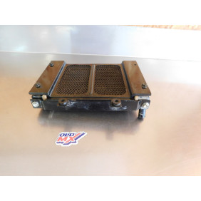 Radiateur MASAI A300