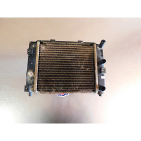 Radiateur MASAI A300