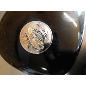 Réservoir HARLEY DAVIDSON 883/1200 SPORTSTER