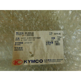 Porte bagage avant neuf  kymco 400 Maxxer