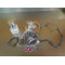Kit Piston et joints origine complet Kawaski 65 KX