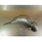 Pot d'echappement Bud Racing Yamaha 125 YZ 2005-2021