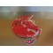 Protection de disque Honda 250 CRF 2004/2008 