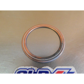 Joint de pot d'échappement Kawasaki KX 250 1995-1999 11060-1689