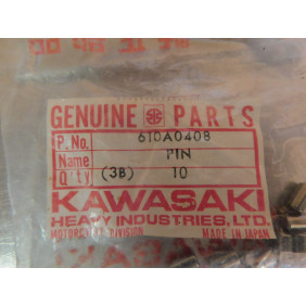 Pions de Barrillet de sélection Kawasaki 610A0408