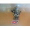 Carburateur Yamaha 125 DTMX 