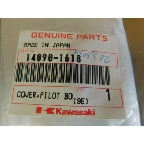 Couvercle de voyant Kawasaki ER500 1997-2005/ ZR1100 1997-2000 14090-1618