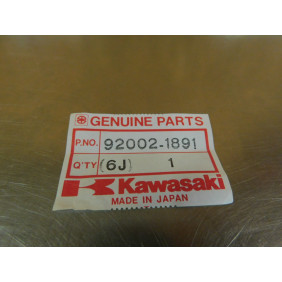 Axe de cadre Kawasaki EX400 1988-89/ EX500 1987-93 92002-1891