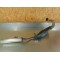 Ligne échappement Honda 125 NSR 1999-2002
