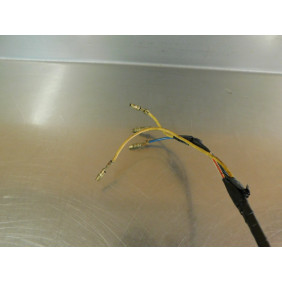 Stator Suzuki 50 TS ER